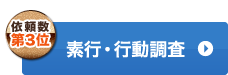 素行・行動調査