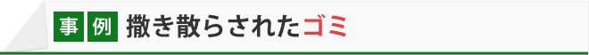 撒き散らされたゴミ